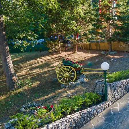 Kini Park & Free Parking Златни пясъци